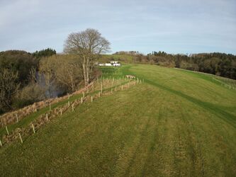 06_02_2024__DJI_0154_000049
