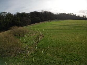 06_02_2024__DJI_0229_000124