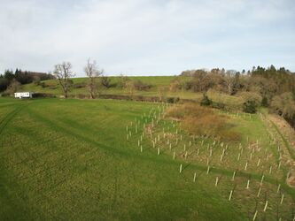 06_02_2024__DJI_0270_000165