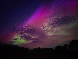 Night Skies