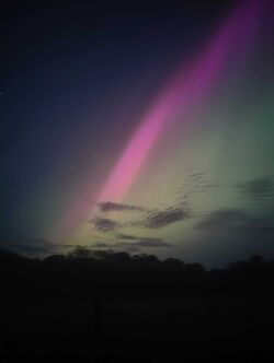 Night Skies