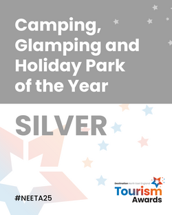 Graphics for NEETA winners-13-camping silver
