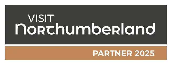 VN Partner logo 2025