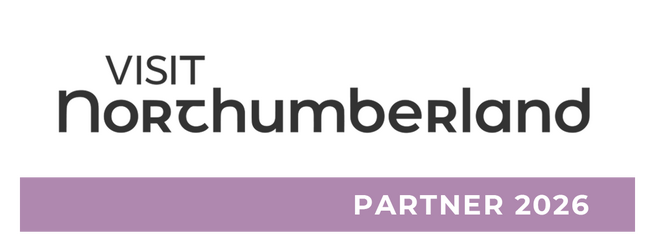 VN-Partner-logo-2026 (1)